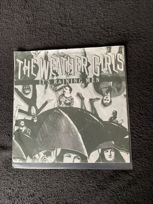 The Weather Girls ,Its Raining Men ,7  Vinyl Single ,1982
