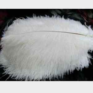 Decor Wedding Champagne, 12-14 in, 12 Pack Ostrich Feather Plumes for Crafts 