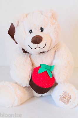Beary Loved Bear w/ Faux Chocolate Dipped Strawberry Edible Arrangements Plush