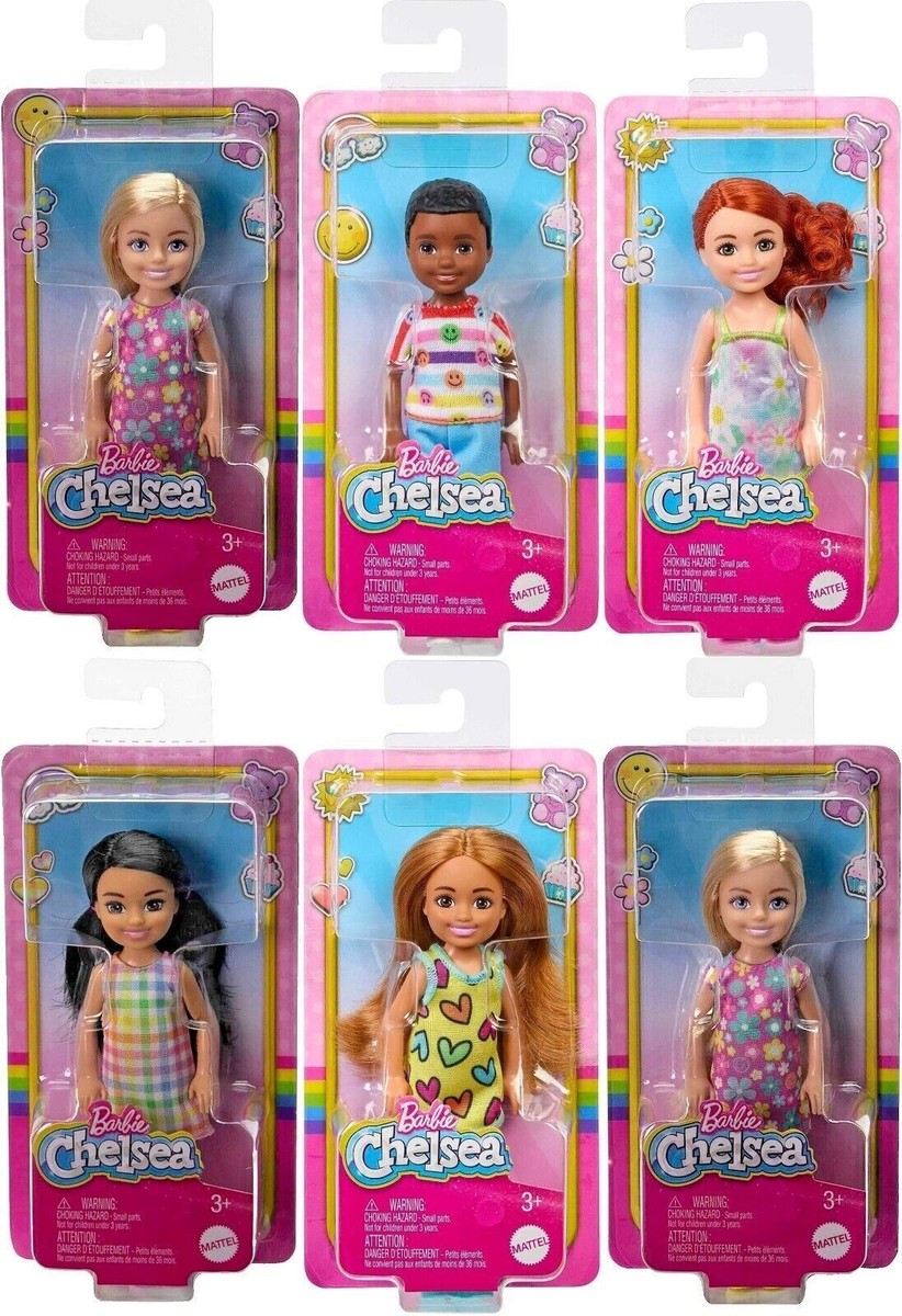 Poupée Barbie Chelsea Et Ses Amis – Jouet Avec Accessoires Thématiques (6 Pouces, Brunes)