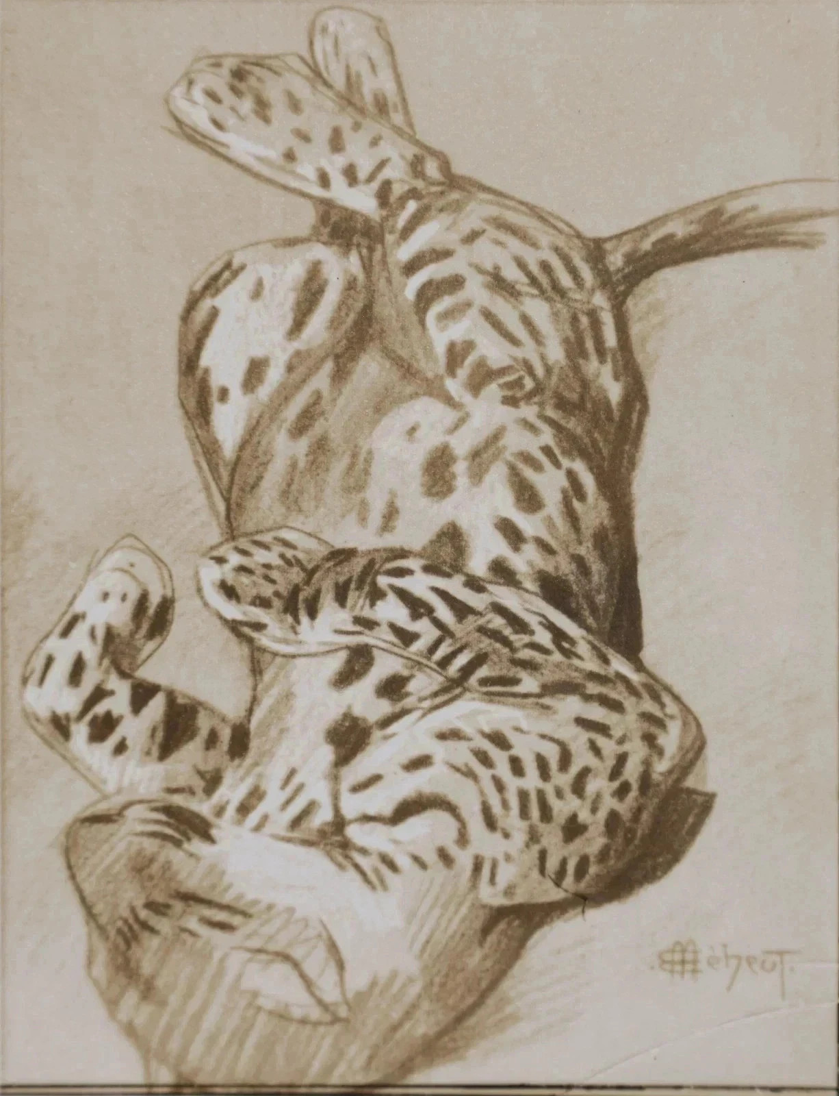 Mathurin Meheut: The Panther, Signed Lithograph, 1911 thumbnail 7