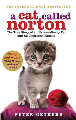 A Cat Called Norton Peter Gethers Taschenbuch Kartoniert / Broschiert Englisch
