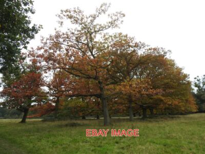FOTO LESEN CROWSLEY PARK