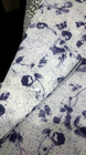 Bild 11 von 12