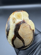 Septarian Egg Crystal Decor Spiritual Protection Gift Dragon Stone Dinosaur Egg