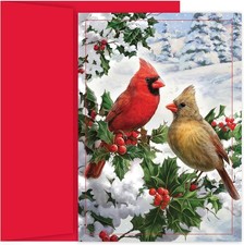 Holiday Brights Collection 16-Count Boxed Christmas Cards with Envelopes, 7.8...