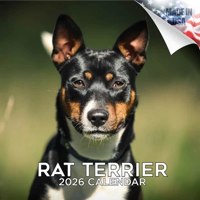 MEGACALENDARS Rat Terrier Dog Breed Calendar 2026 FULL SIZE 12x24 Made in USA