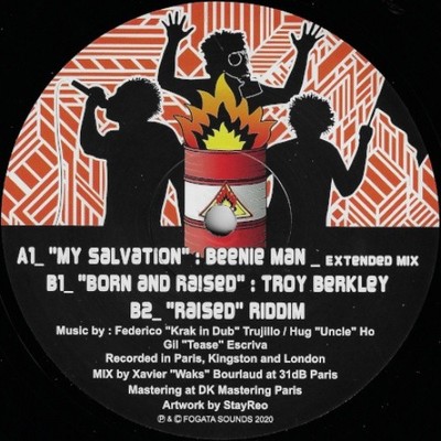 KRAK IN DUB Raised Riddim Pt. 1 10'' NEW VINYL Fogata Sounds Beenie Man Troy Ber