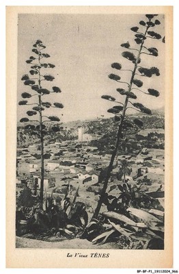 BP-BFP1-0484-ALGERIE - Le Vieux Tenes