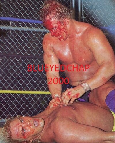 STEVE AUSTIN & BARRY WINDHAM WRESTLER 8 X 10 WRESTLING PHOTO WWF WCW - Picture 1 of 1