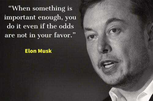 Genius Investor Elon Musk Quote Approach Art Wall - POSTER 20x30 - Photo 1 sur 4