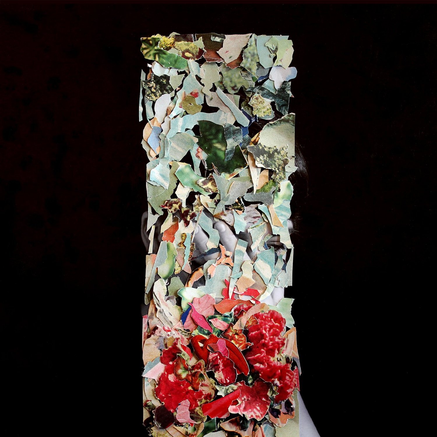 Foxtrott A Taller Us (CD) Album