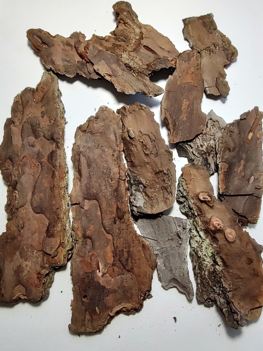 3oz Pine Tree Bark Pieces ~Decorate Terrariums ~Seasonal Arts