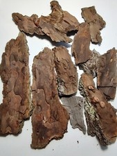 3oz Pine Tree Bark Pieces Decorate Terrariums Seasonal Arts  Crafts