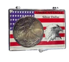 1996 American Eagle Silver Dollar, toned, in original plastic case