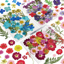 Dried Pressed Flowers, 120 Pcs Dried Flowers for Resin Molds, Real Dried Flow...
