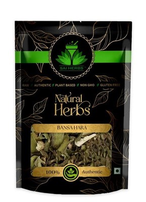 SAI HERBS Bansa Patta - Adhatoda Vasica Nees - Malabar Nut Tree - Pure & Natural