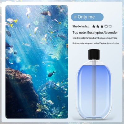 Automatische Duftaromatherapie mit natürlichen ätherischen Ölen 40ml Größe