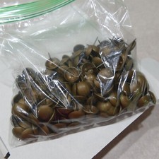 200 Upholstery Tacks Tarnished Brass 5/8" Round Head Furniture Nails Pins