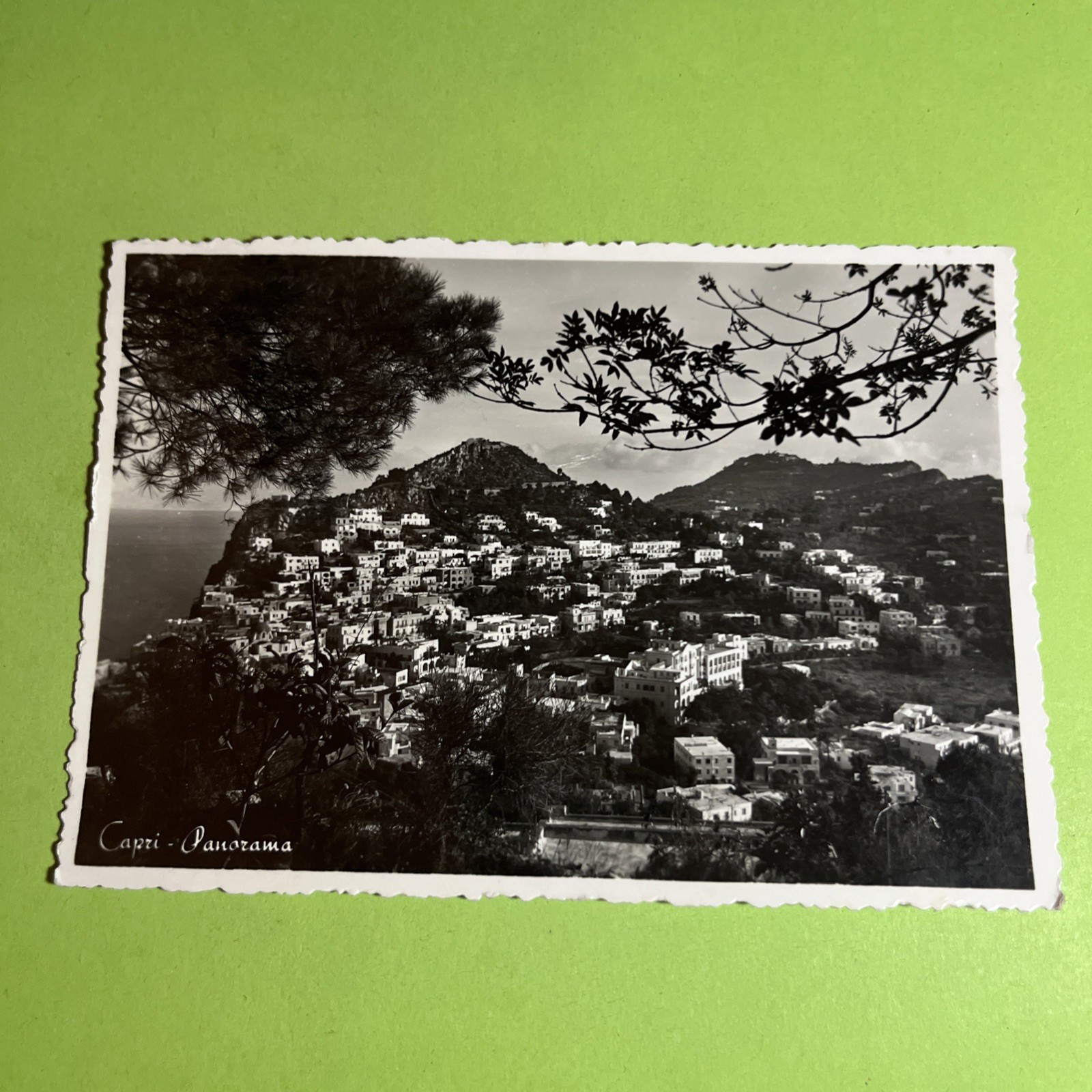 CAPRI PANORAMA VIAGGIATA  ù- CARTOLINA BIANCO E NERO