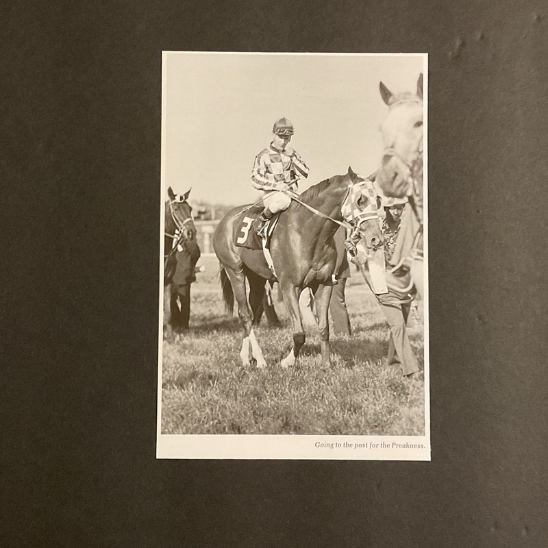 SECRETARIAT 12  PHOTOS Horse Racing  1973 Triple Crown