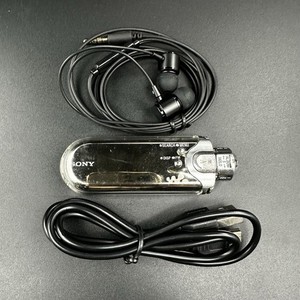 Sony Nw-E507 for sale | eBay