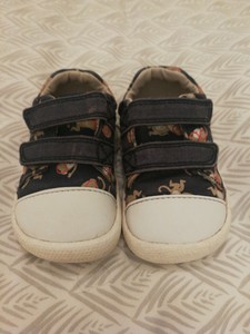 clarks monkey shoes