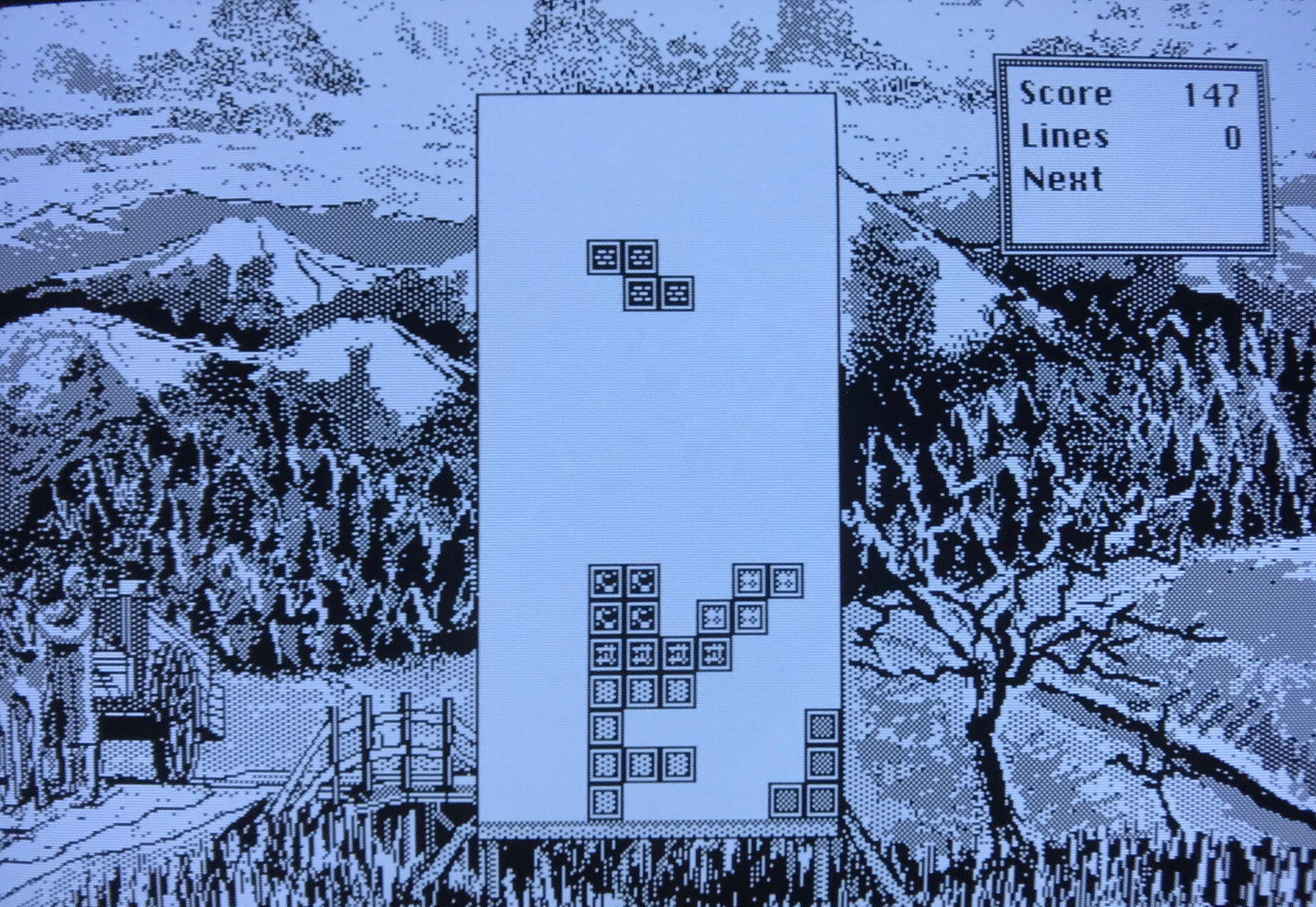 Photo 7/15