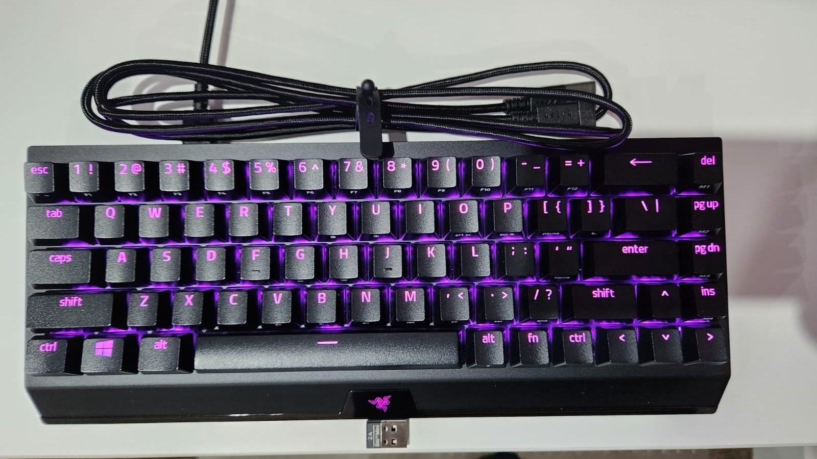 Picture 4 of 5