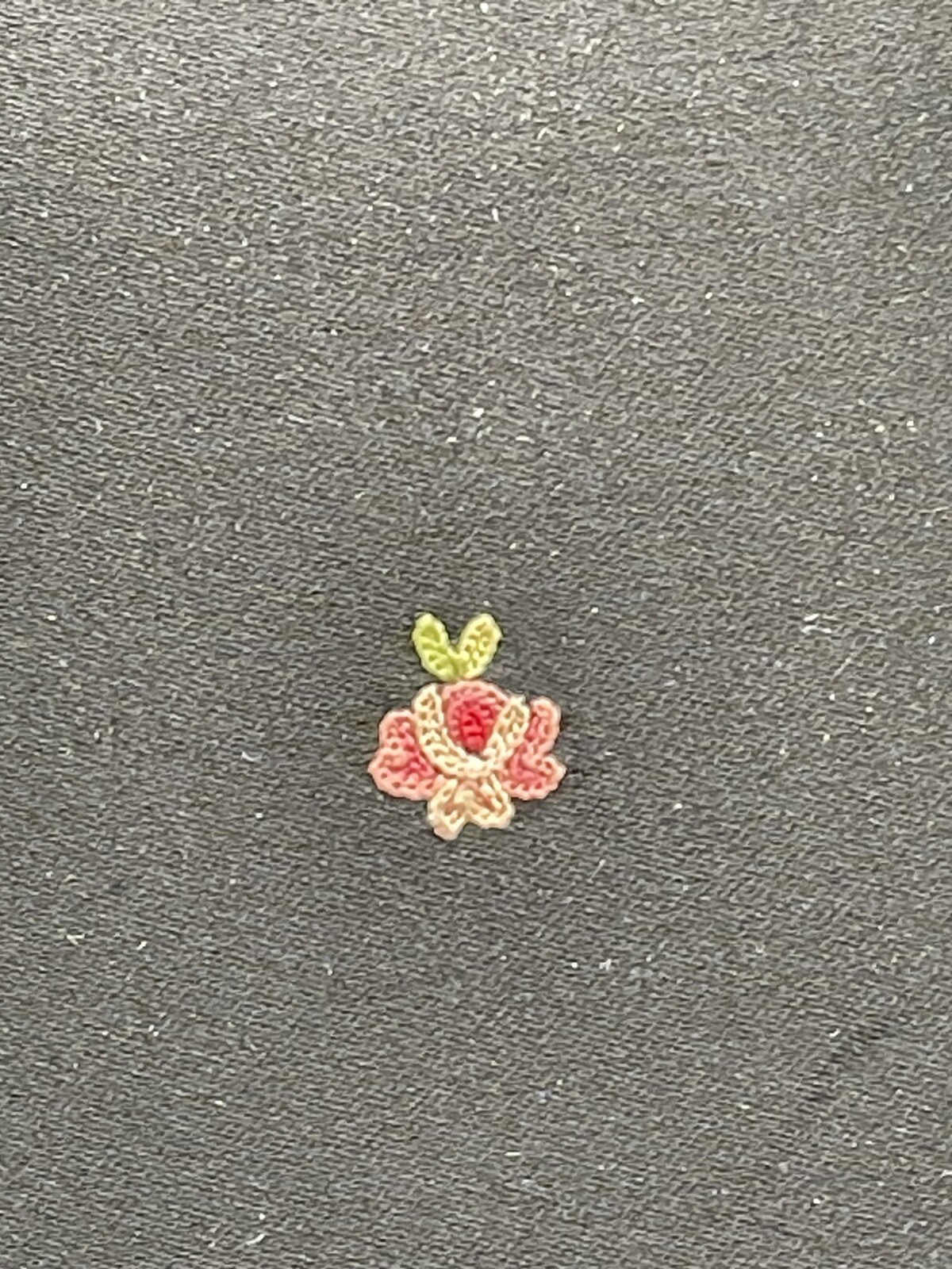 Picture 6 of 12