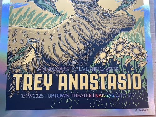 OFFICIAL Trey Anastasio Acoustic RAINBOW FOIL AP POSTER Kansas City MO 2025 #/25 - Picture 3 of 7