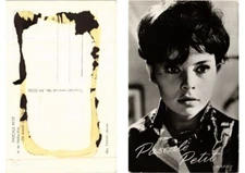 Old postcard AK Pascale Petit. FILM STAR (620038)