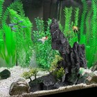 Picture 2 of 15