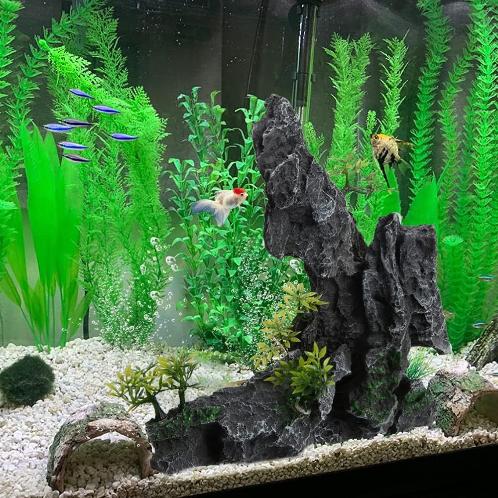 Picture 2 of 15