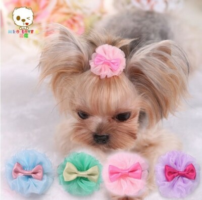 HEEPDD Elastici per Animali Domestici Fiocchi per peli di Gatto per Cani da Bambola Accessori per toelettatura Elastici per Gatti ad Alta Elasticità