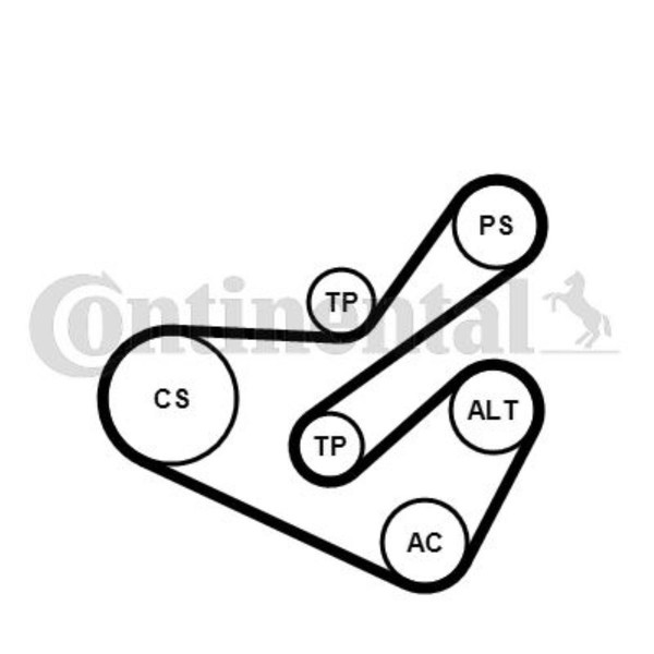 Continental Ctam Keilrippenriemensatz FüR CitroëN Berlingo MF M_ N68 Peugeot-image