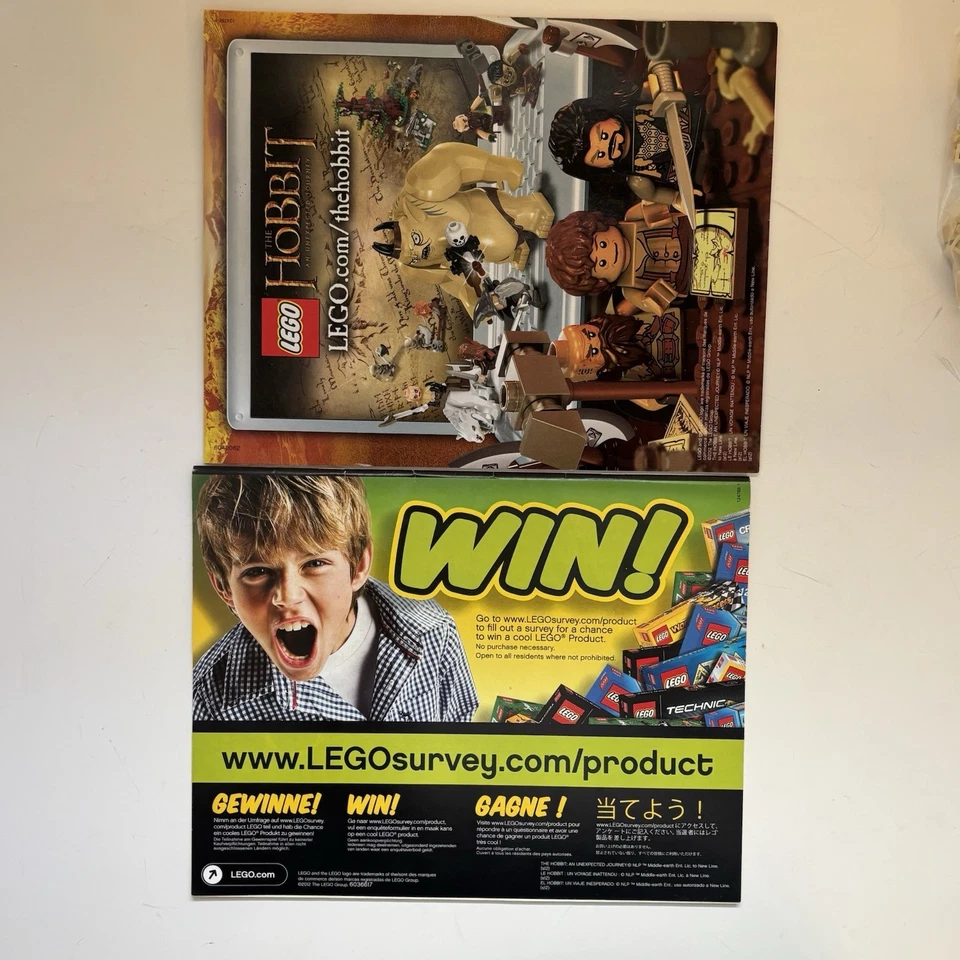 LEGO Hobbit 79003 AN UNEXPECTED GATHERING 100% Complete with Minifigs (no box) - Image 4 of 4