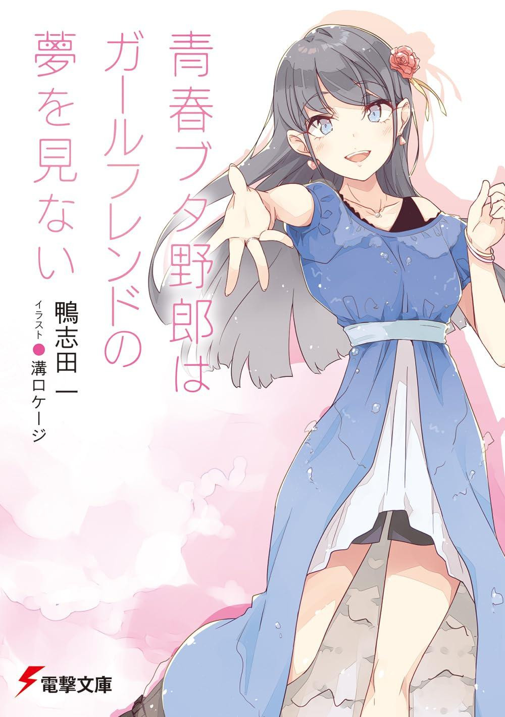 Light Novel Rascal Does Not Dream of Girlfriend Japanese Hajime Kamoshida