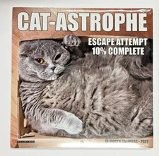 CAT-Astrophe 18 Month Calendar 2021 Escape Attempt 10% Complete 7" x 7"