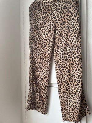 Zara Hose S 36