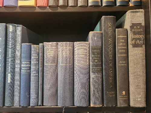 Vintage Blue Books (20), Lot of Blue Books, Shabby Blue Book Decor, Book Staging - Picture 6 of 11