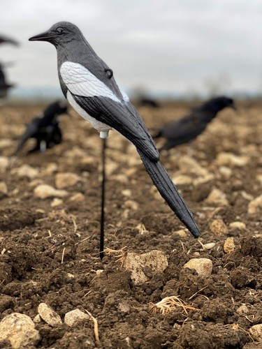 Señuelos urraca de plástico cuerpo completo Larsen trampa pájaro señuelo disparar pájaro falso pájaro - Imagen 5 de 5