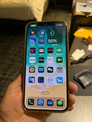 IPHONE 12 PRO MAX, 256 GB WITH TIKTOK