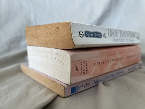 Young Readers Classics 3 Book Lot - Dickens, Stowe, Scott O'Dell - PB Homeschool - Picture 3 of 9