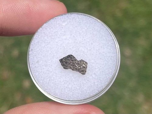 Montana Fossil Dinosaur Eggshell Maiasaura Cretaceous Dino Egg | eBay