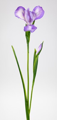 Schwertlilie / Iris 76cm lila CG Kunstblumen Dekoblumen künstliche Blumen