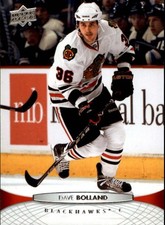 2011-12 Upper Deck #164 Dave Bolland - HKY