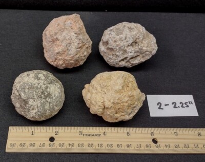 Mexican Geode Variety Pack - Guaranteed Hollow, 2-4'' Groups, 4 Geodes per Group