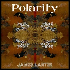 James Larter Polarity LP Vinyl NDR001 NEW