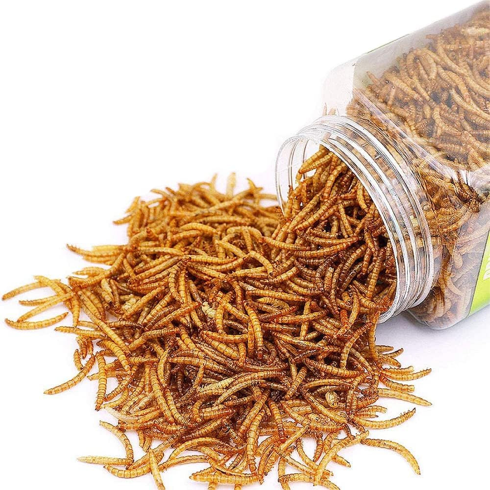 Reptile Food Dried Mealworms Pet Worms Food for Bearded Dragon, Lizard